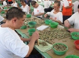 英文-介紹-作業科4