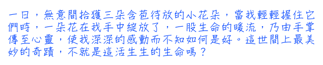 一日，無意間拾獲三朵含苞待放的小花朵，當我輕輕握住它們時，一朵花在我手中綻放了，一股生命的暖流，乃由手掌傳至心靈，使我深深的感動而不知如何是好。這世間上最美妙的奇蹟，不就是這活生生的生命嗎？