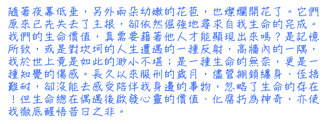 隨著夜幕低垂，另外兩朵幼嫩的花苞，也燦爛開花了。它們原來已先失去了主根，卻依然倔強地尋求自我生命的完成。我們的生命價值，真需要藉著他人才能顯現出來嗎？是記憶所致，或是對坎坷的人生遭遇的一種反射，高牆內的一隅，我於世上竟是如此的渺小不堪；是一種生命的無奈，更是一種知覺的傷感。長久以來服刑的歲月，儘管棚鎖纏身、侄梧難耐，卻沒能去感受陪伴我身邊的事物，忽略了生命的存在!但生命總在偶遇後啟發心靈的價值、化腐朽為神奇，亦使我徹底醒悟昔日之非。