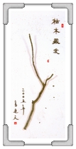 枯木藏愛 高○文