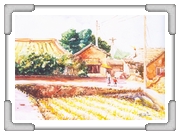 鄉間情懷 蔡○達