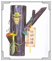 螳螂捕蟬